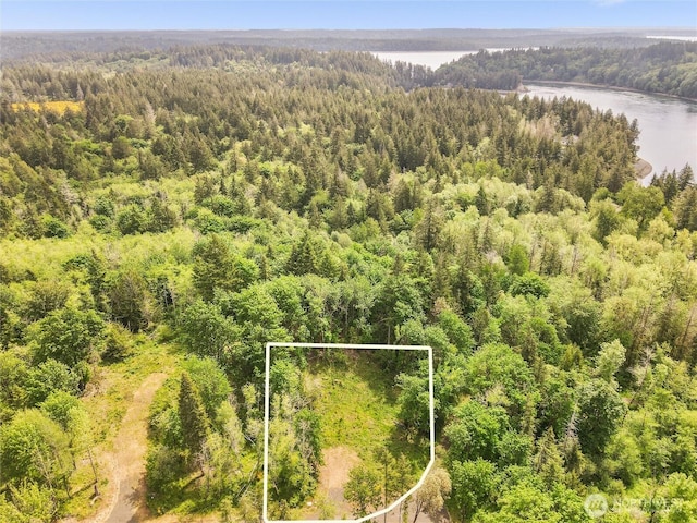 171 E Cascara Cove Ln, Shelton, WA 98584