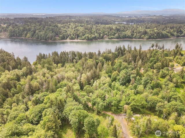 171 E Cascara Cove Ln, Shelton, WA 98584