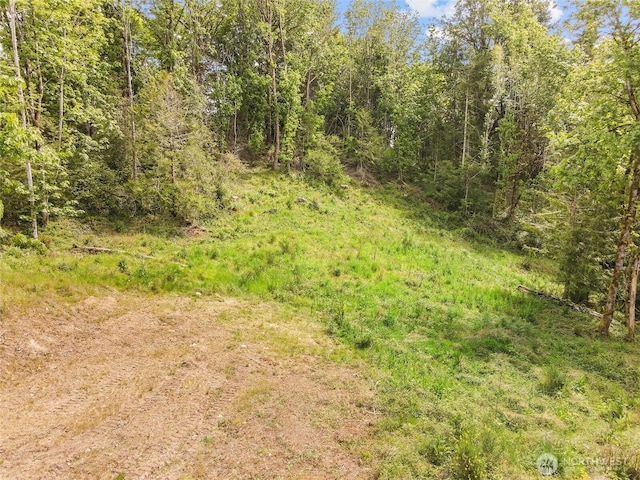 171 E Cascara Cove Ln, Shelton, WA 98584