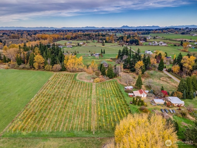 5367 Barr Rd, Ferndale, WA 98248 - aerial overview of property's location with rural landscape, a mountain backdrop, and large plots for crops