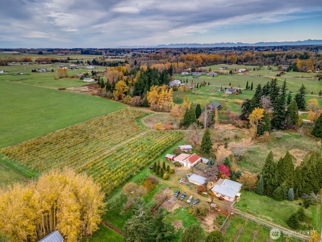 5367 Barr Rd, Ferndale, WA 98248 - aerial overview of property's location featuring rural landscape and a mountain backdrop