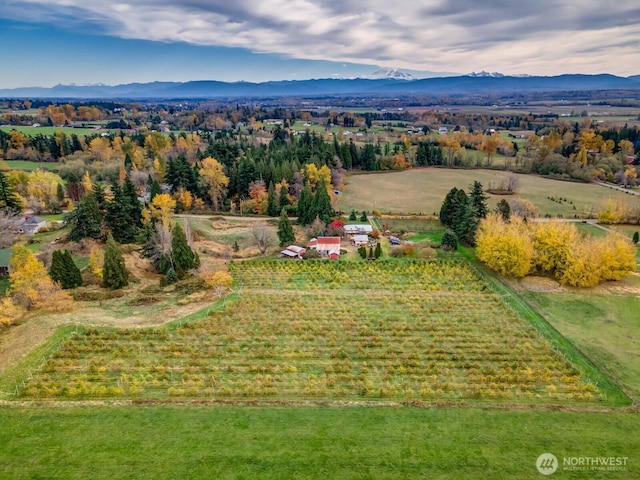 5367 Barr Rd, Ferndale, WA 98248 - view of rural area with mountains