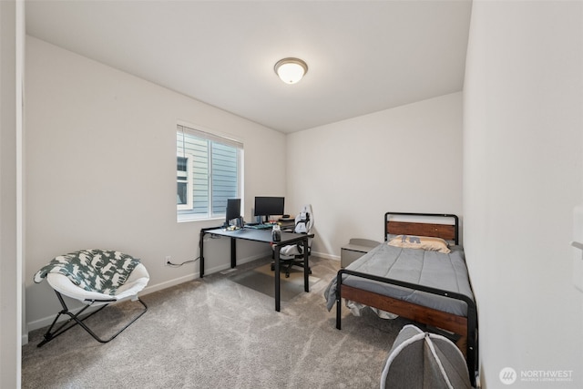 15017 Tyee Dr E, Bonney Lake, WA 98391 - photo 24