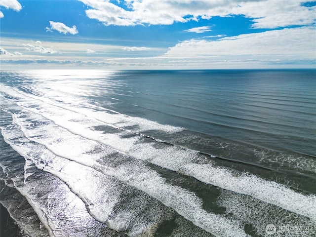 251 Meriweather St, Pacific Beach, WA 98571 - water view with local beach