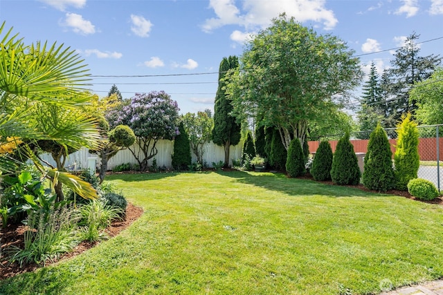 6709 E I St, Tacoma, WA 98404 - view of yard