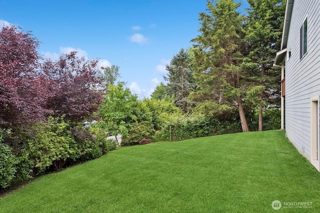 1310 Maple Ave, Snohomish, WA 98290 - view of green lawn
