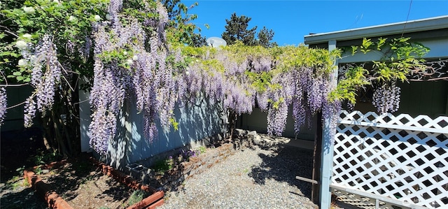 82 Marjory Ln, Sequim, WA 98382 - view of yard