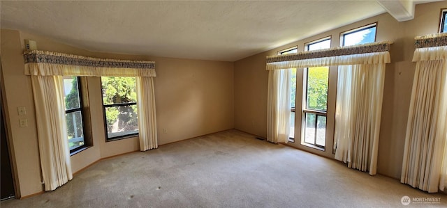 82 Marjory Ln, Sequim, WA 98382 - unfurnished room with healthy amount of natural light, light carpet, and baseboards