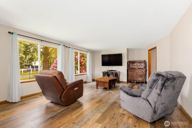 5809 162nd Ave E, Sumner, WA 98390 - living room featuring light wood finished floors and baseboards