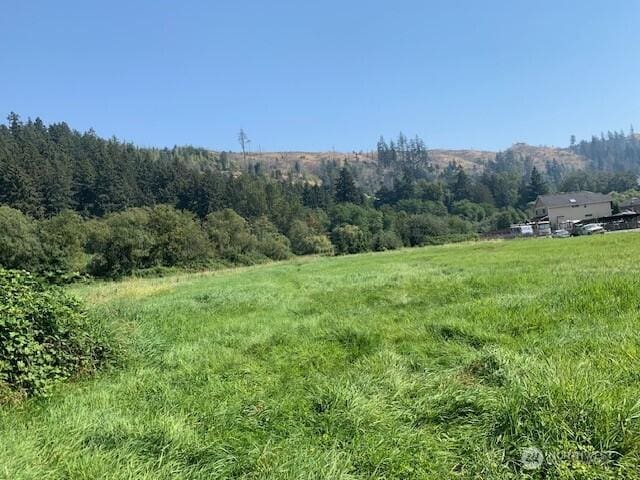 5809 162nd Ave E, Sumner, WA 98390 - view of yard featuring a rural view