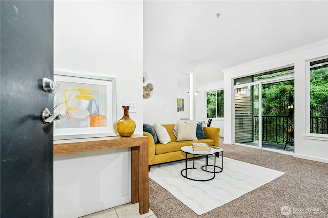 25025 SE Klahanie Blvd Unit D204, Sammamish, WA 98029 - living room featuring healthy amount of natural light, ornamental molding, and carpet floors