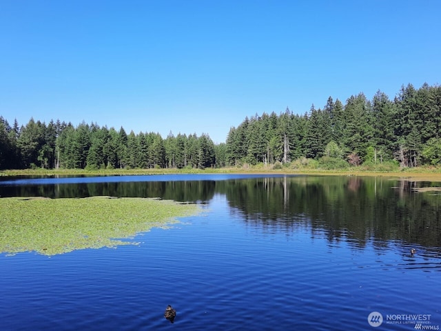 25025 SE Klahanie Blvd Unit D204, Sammamish, WA 98029 - water view featuring a forest