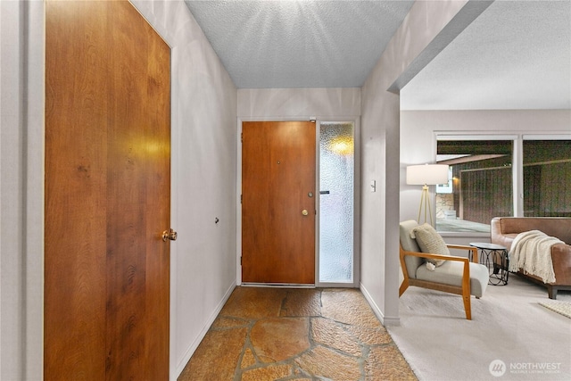 907 Baker St, Bellingham, WA 98225 - entryway with baseboards, carpet, a textured ceiling, and stone finish flooring