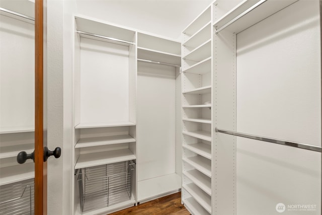 4528 SW 316th Pl, Federal Way, WA 98023 - walk in closet featuring dark wood-type flooring