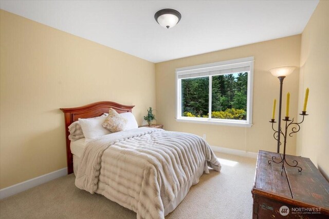 31045 219th Way SE, Black Diamond, WA 98010 - bedroom featuring carpet flooring and baseboards