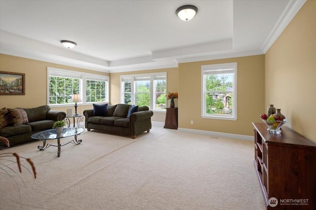 31045 219th Way SE, Black Diamond, WA 98010 - living area featuring a raised ceiling, light carpet, baseboards, and ornamental molding