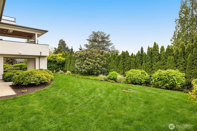 8926 NE 36th St, Yarrow Point, WA 98004 - view of grassy yard