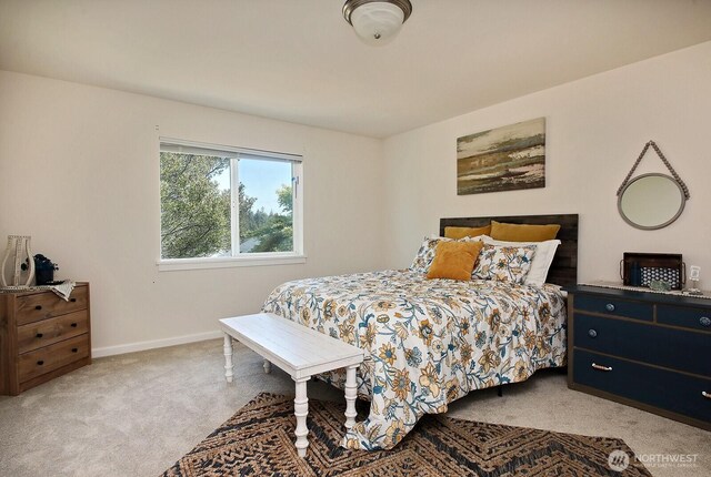 180 NW 12th Ct, Oak Harbor, WA 98277 - photo 28