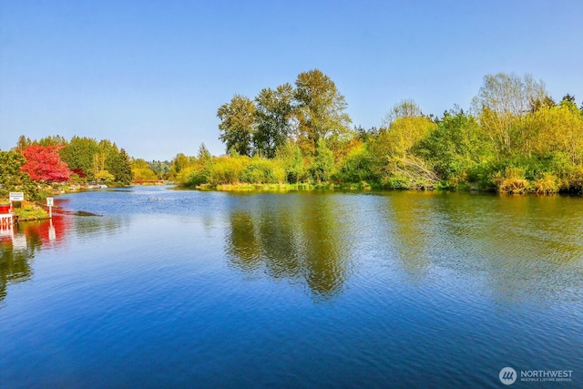 water view with a forest