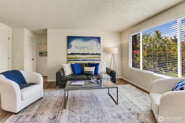 living room featuring wood finished floors, a textured ceiling, and baseboards