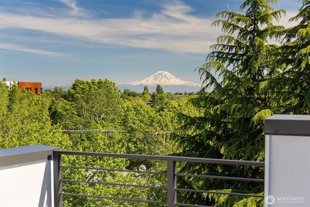 1406 21st Ave Unit A, Seattle, WA 98122 - view of mountain background