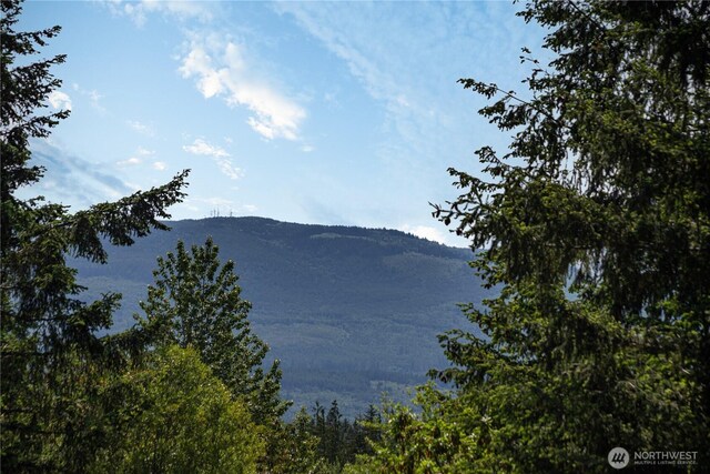 230 Blue Horizon Ct, Port Townsend, WA 98368 - photo 37