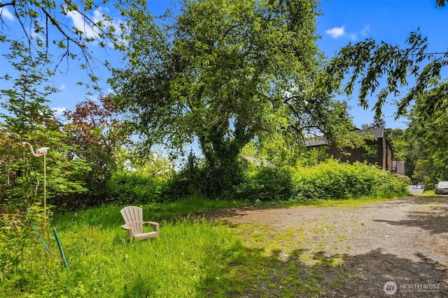 3535 Anthony Pl S, Seattle, WA 98144
