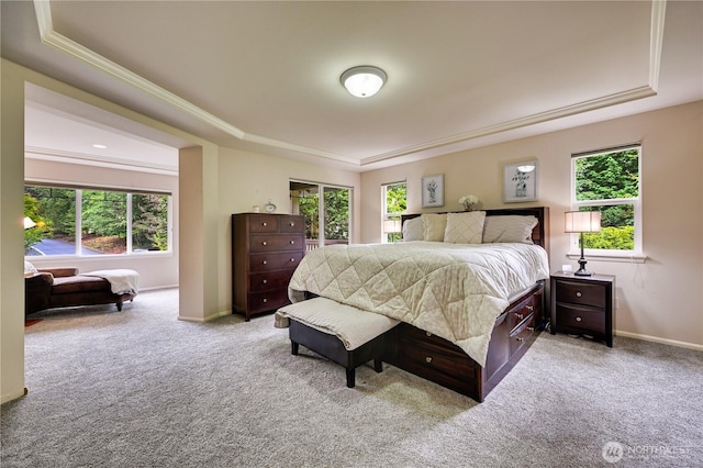 20524 73rd Dr SE, Snohomish, WA 98296 - bedroom featuring a tray ceiling, carpet floors, multiple windows, and crown molding