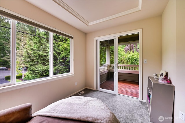 20524 73rd Dr SE, Snohomish, WA 98296 - carpeted bedroom with multiple windows, access to exterior, baseboards, and a raised ceiling