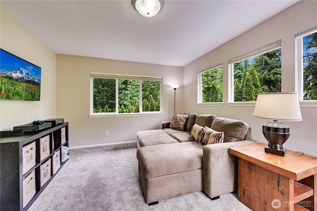 20524 73rd Dr SE, Snohomish, WA 98296 - living room with carpet flooring and baseboards