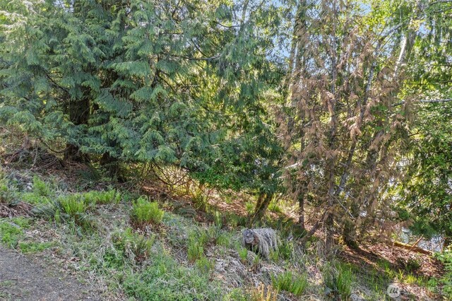 1710 SE Crescent Dr, Shelton, WA 98584 - photo 4