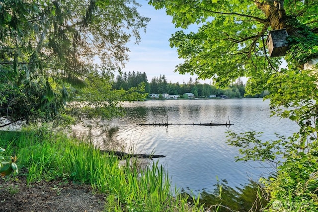 1710 SE Crescent Dr, Shelton, WA 98584 - photo 7