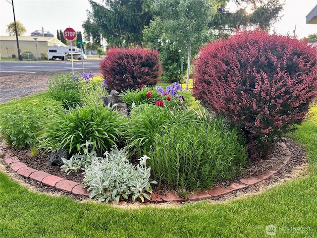 302 N 2nd St, Coulee City, WA 99115 - photo 2
