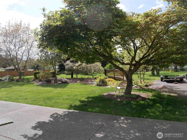 view of yard