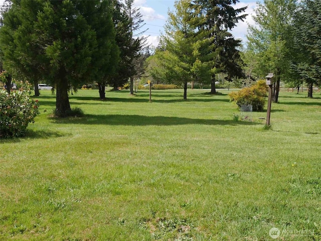 view of community featuring a lawn