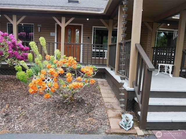 doorway to property with a porch and roof with shingles
