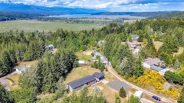 bird's eye view of a forest and a mountainous background
