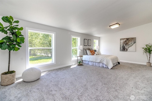 bedroom featuring baseboards and carpet floors