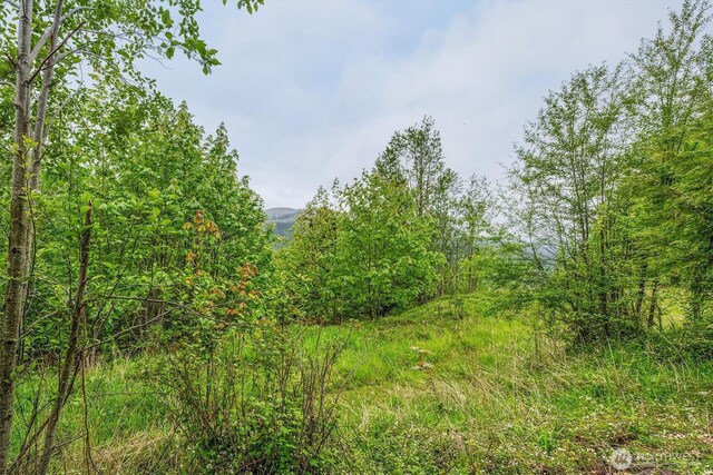 0X 2500th Rd, Toutle, WA 98649