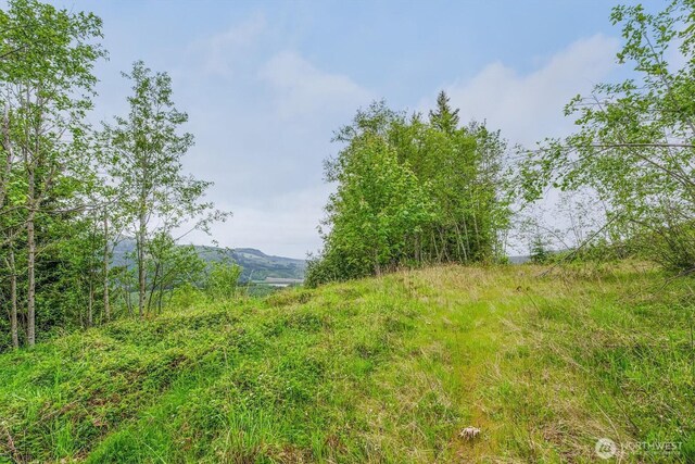 0X 2500th Rd, Toutle, WA 98649