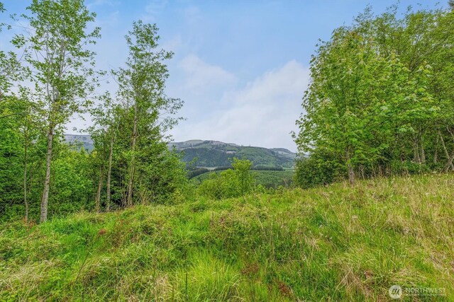 0X 2500th Rd, Toutle, WA 98649