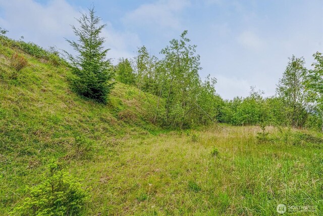 0X 2500th Rd, Toutle, WA 98649