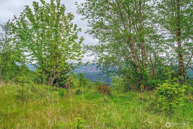 0X 2500th Rd, Toutle, WA 98649