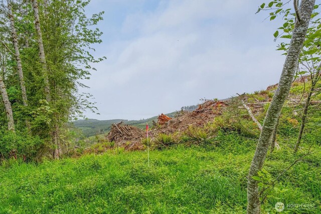 0X 2500th Rd, Toutle, WA 98649