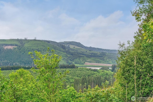 0X 2500th Rd, Toutle, WA 98649