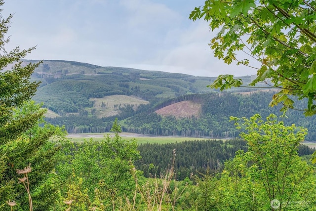 0X 2500th Rd, Toutle, WA 98649