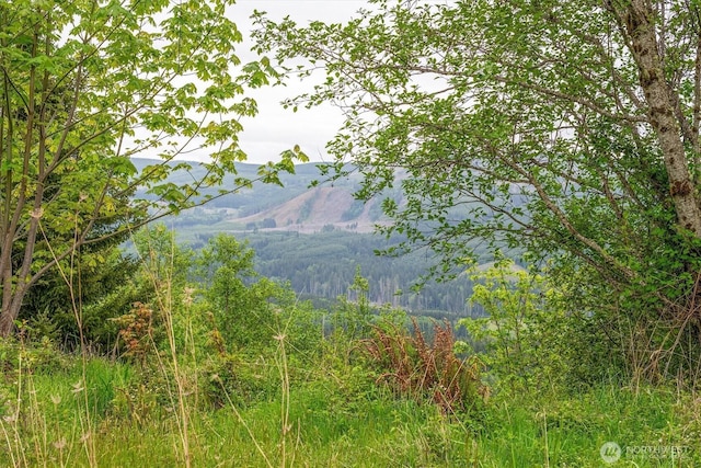 0X 2500th Rd, Toutle, WA 98649