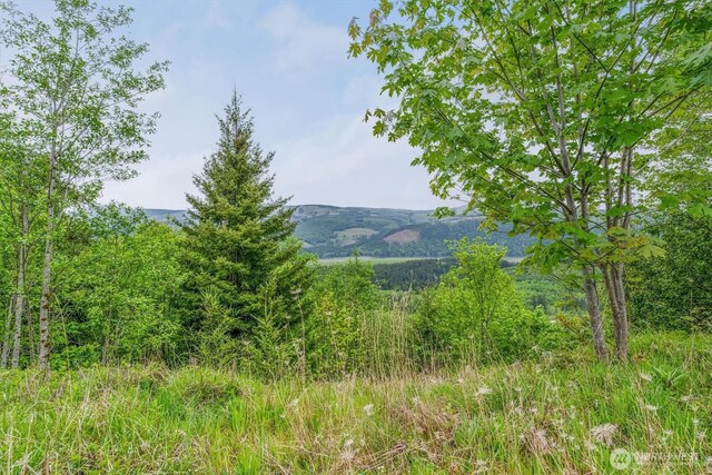 0X 2500th Rd, Toutle, WA 98649