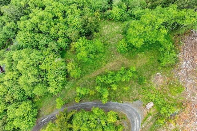 0X 2500th Rd, Toutle, WA 98649