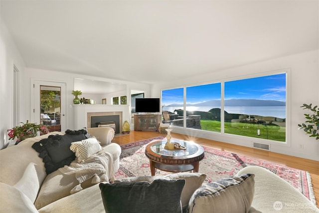 100 Willow Rd, Bellingham, WA 98225 - living area with wood finished floors and a fireplace with flush hearth